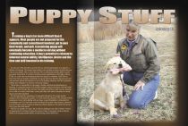 Jack Jagoda's article, Puppy Stuff, in The Sportsman's Magazine